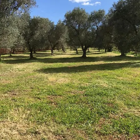 Casa Dei Vigneti Ferienhaus *