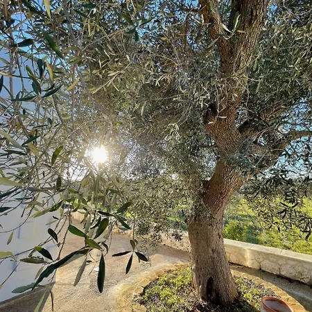 Casa Dei Vigneti Ferienhaus Carovigno